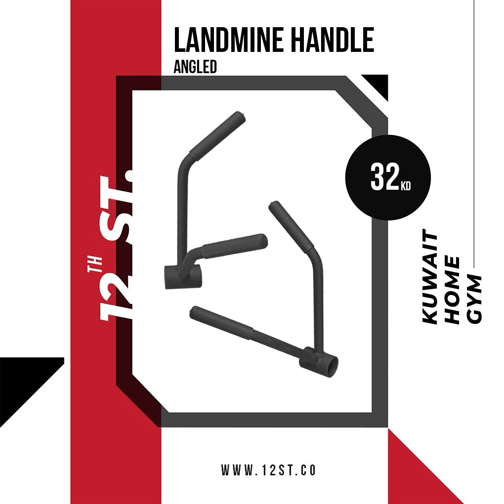 Rogue Angled Landmine Handle