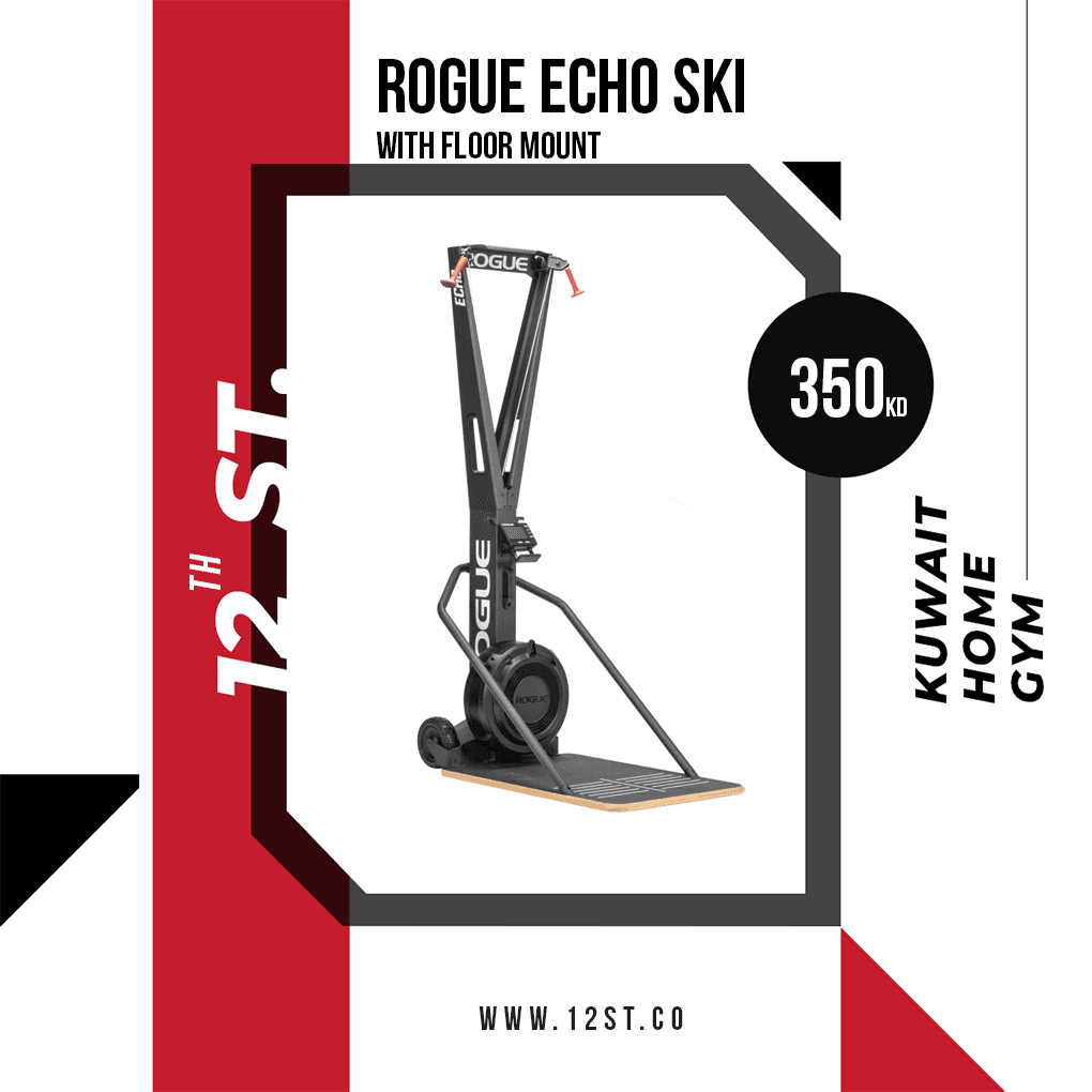 Rogue Echo Ski