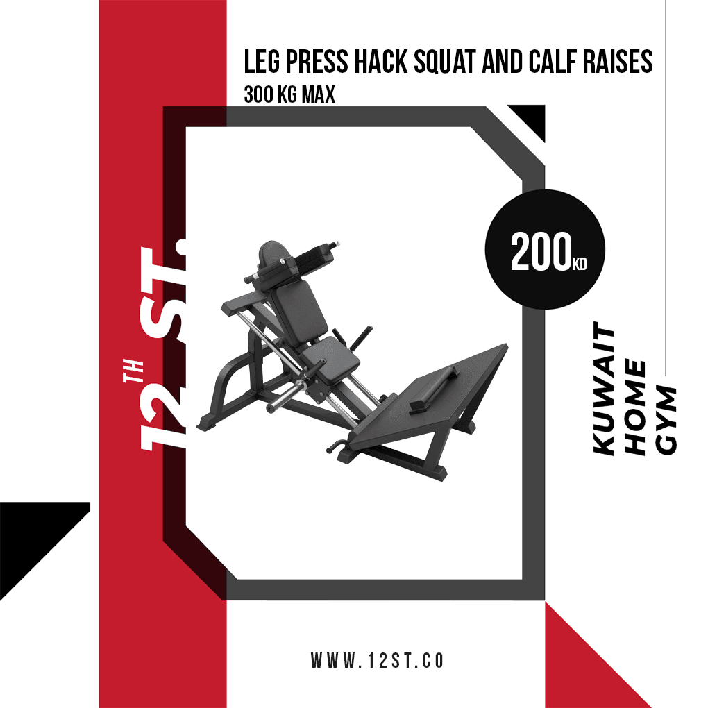 Leg Press Hack Squat and Calf Raises